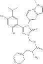 Fig. 166 - Triazole compounds that modulate HSP90 activity