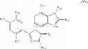 Fig. 41 - Triazole compounds that modulate HSP90 activity
