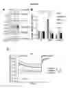 Fig. 02 - Compositions and methods for treating an Aβ-modulated disease or disorder or improving cognition in a subject