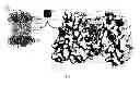 Fig. 02 - Small molecule activators of HsIV protease for development of novel antimicrobials