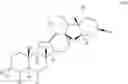 Fig. 20 - Cyclopamine analogs