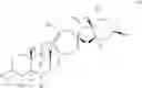 Fig. 21 - Cyclopamine analogs