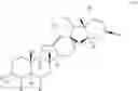 Fig. 22 - Cyclopamine analogs
