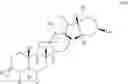 Fig. 28 - Cyclopamine analogs