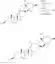 Fig. 51 - Cyclopamine analogs