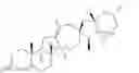Fig. 54 - Cyclopamine analogs
