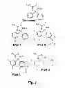 Fig. 02 - HYDANTOINS THAT MODULATE BACE-MEDIATED APP PROCESSING
