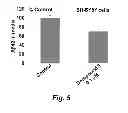 Fig. 07 - HYDANTOINS THAT MODULATE BACE-MEDIATED APP PROCESSING