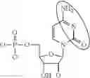 Fig. 04 - MODIFIED MRNAS ENCODING CELL-PENETRATING POLYPEPTIDES