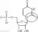 Fig. 06 - MODIFIED MRNAS ENCODING CELL-PENETRATING POLYPEPTIDES