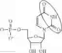Fig. 07 - MODIFIED MRNAS ENCODING CELL-PENETRATING POLYPEPTIDES