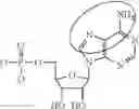 Fig. 08 - MODIFIED MRNAS ENCODING CELL-PENETRATING POLYPEPTIDES