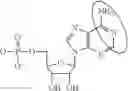 Fig. 10 - MODIFIED MRNAS ENCODING CELL-PENETRATING POLYPEPTIDES