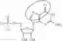 Fig. 11 - MODIFIED MRNAS ENCODING CELL-PENETRATING POLYPEPTIDES