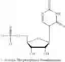 Fig. 15 - MODIFIED MRNAS ENCODING CELL-PENETRATING POLYPEPTIDES