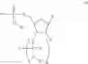 Fig. 19 - MODIFIED MRNAS ENCODING CELL-PENETRATING POLYPEPTIDES
