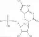 Fig. 28 - MODIFIED MRNAS ENCODING CELL-PENETRATING POLYPEPTIDES