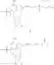 Fig. 63 - MODIFIED MRNAS ENCODING CELL-PENETRATING POLYPEPTIDES