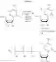Fig. 65 - MODIFIED MRNAS ENCODING CELL-PENETRATING POLYPEPTIDES