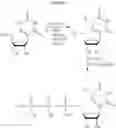 Fig. 70 - MODIFIED MRNAS ENCODING CELL-PENETRATING POLYPEPTIDES