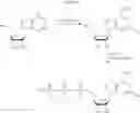 Fig. 72 - MODIFIED MRNAS ENCODING CELL-PENETRATING POLYPEPTIDES