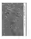 Fig. 02 - POLYAMIDES AND POLYESTERS BLENDED WITH A LITHIUM SALT INTERFACIAL TENSION REDUCING AGENT