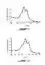 Fig. 07 - Preparation of high molecular weight polymers by direct arylation and heteroarylation