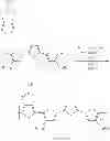 Fig. 28 - Preparation of high molecular weight polymers by direct arylation and heteroarylation