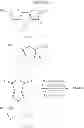 Fig. 30 - Preparation of high molecular weight polymers by direct arylation and heteroarylation
