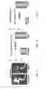 Fig. 08 - Anti-glucosaminidase passive immunization for infections