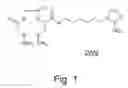 Fig. 02 - Radiotracer precursor for imaging of hypoxic tissue, radiotracer, and method for preparing the same