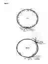 Fig. 02 - SINGLE-STRANDED ANTIMICROBIAL OLIGONUCLEOTIDES AND USES THEREOF