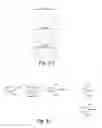 Fig. 10 - Organoboron compounds and methods of making organoboron compounds