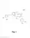 Fig. 02 - Quinic acid derivative, process for preparation and uses thereof