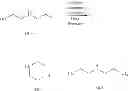 Fig. 02 - Reductive amination of diethanolamine and resulting product mixture