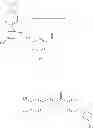 Fig. 07 - PROCESS FOR THE PREPARATION OF CHIRAL ISOXAZOLINE AZETIDINE DERIVATIVES AS ANTIPARASITIC AGENTS