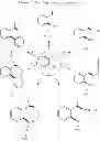 Fig. 40 - Copper catalyzed halogenaton and reaction products