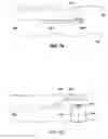 Fig. 07 - Transparent endoscope head defining a focal length