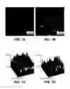 Fig. 08 - Method of deep tissue imaging using multi-photon excitation of a fluorophore