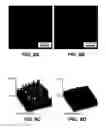 Fig. 09 - Method of deep tissue imaging using multi-photon excitation of a fluorophore