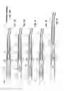 Fig. 06 - Single-insertion, multiple sampling biopsy device with linear drive