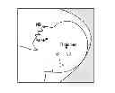 Fig. 01 - METHOD FOR AUTOMATICALLY DETECTING MID-SAGITTAL PLANE BY USING ULTRASOUND IMAGE AND APPARATUS THEREOF
