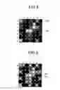 Fig. 07 - Optical measuring device and fiber bundle association method
