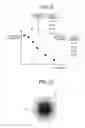Fig. 09 - Optical measuring device and fiber bundle association method