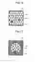 Fig. 11 - Optical measuring device and fiber bundle association method