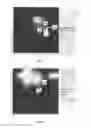 Fig. 03 - System and method of identifying sources associated with biological rhythm disorders