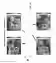 Fig. 20 - System and method of identifying sources associated with biological rhythm disorders