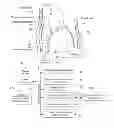 Fig. 01 - Method for analysis of complex rhythm disorders