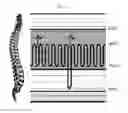 Fig. 12 - Method for setting massage pattern of thermotherapy device