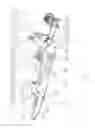 Fig. 02 - Training device for human walking movement